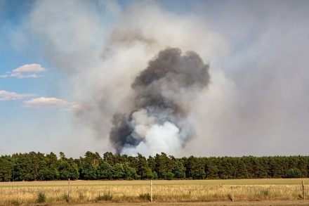 В Нижегородской области установили 4-й класс пожароопасности лесов