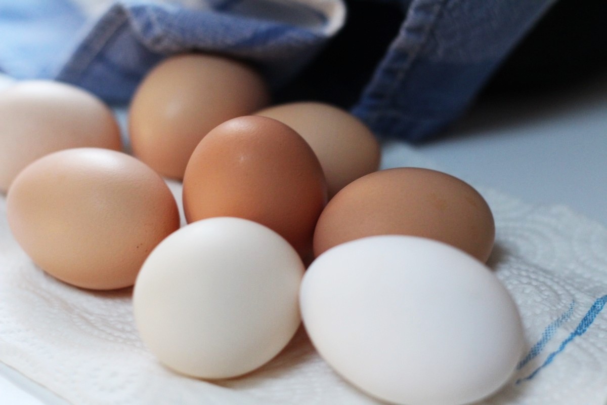 Нижегородские испытатели нашли антибиотики в кемеровских яйцах