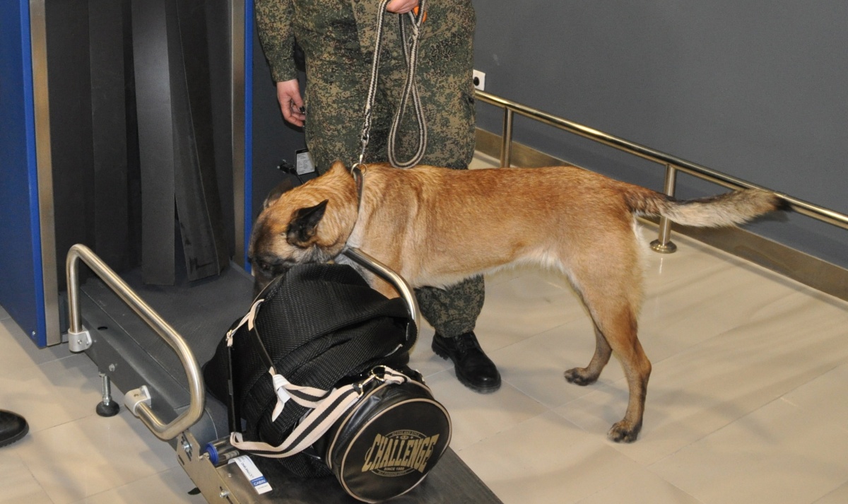 Таможенники выявили 4,7 тонн наркотиков за полгода в Приволжском округе - фото 1