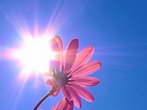 Нижегородцев ждут теплые и солнечные выходные