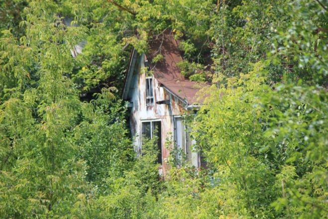 Опубликованы фото оврагов заброшенных участков СНТ в Нижнем Новгороде - фото 2