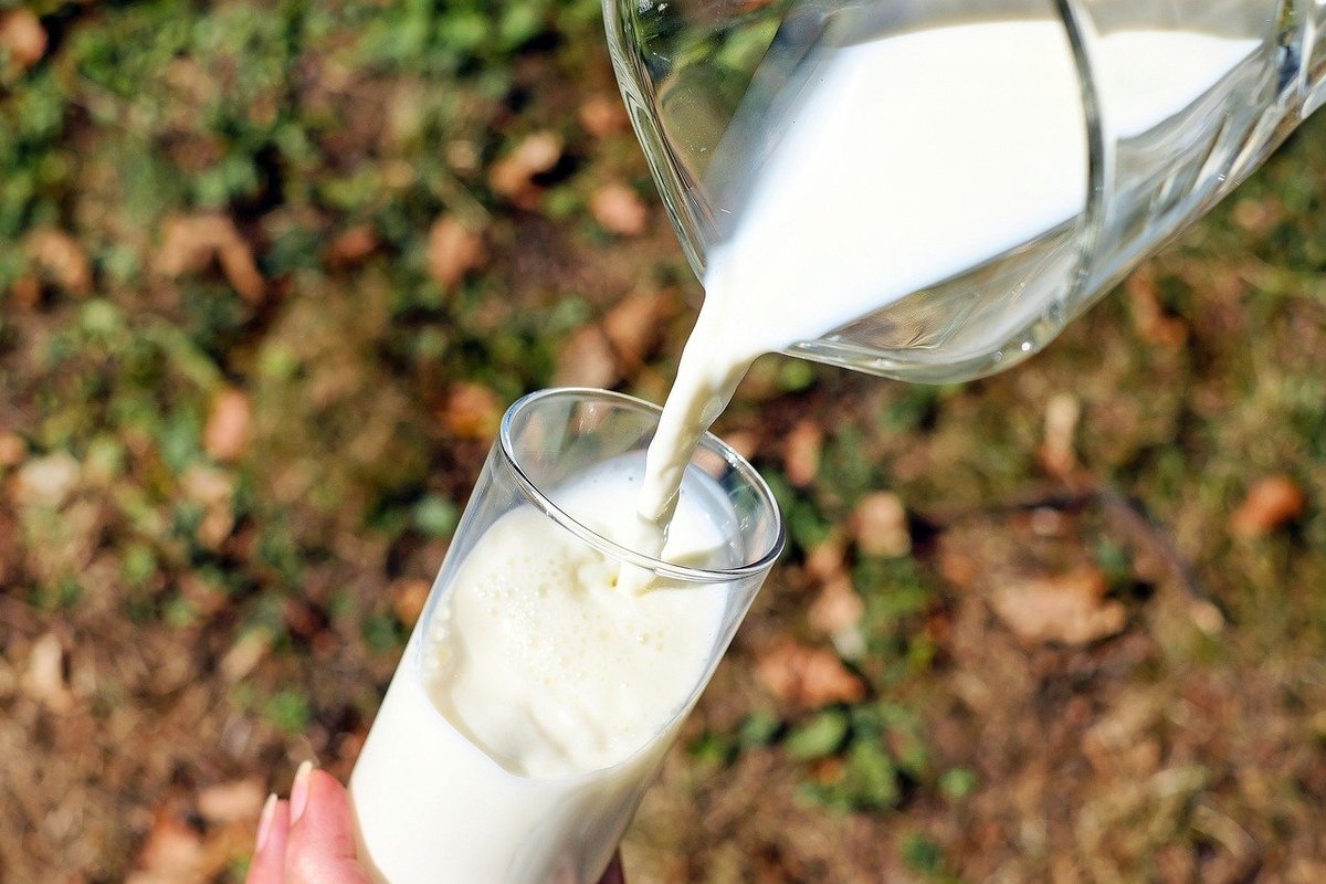 Более 80 тысяч тонн молока произвели нижегородские предприятия за два первых месяца 2020 года - фото 1