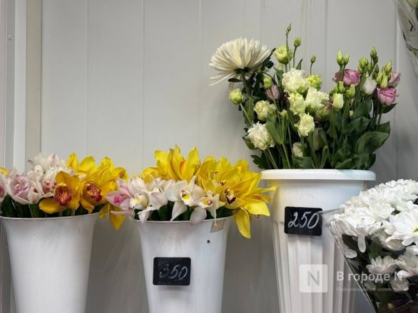 Мужчины, готовьтесь. Рассказываем, сколько стоят цветы к 8 марта в Нижнем Новгороде - фото 18