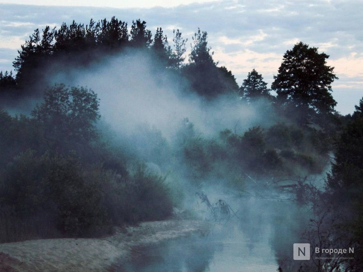 Нижегородцы снова жалуются на жуткую вонь на улицах 22 июля - фото 1