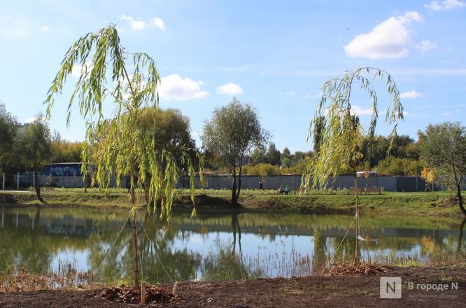 Парк 777-летия Нижнего Новгорода открылся после масштабного благоустройства: показываем, каким он стал - фото 104