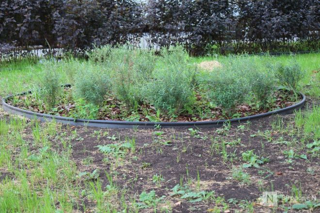 Благоустройство &ndash;  2025: смотрим, как меняются пространства в районах Нижнего Новгорода - фото 12