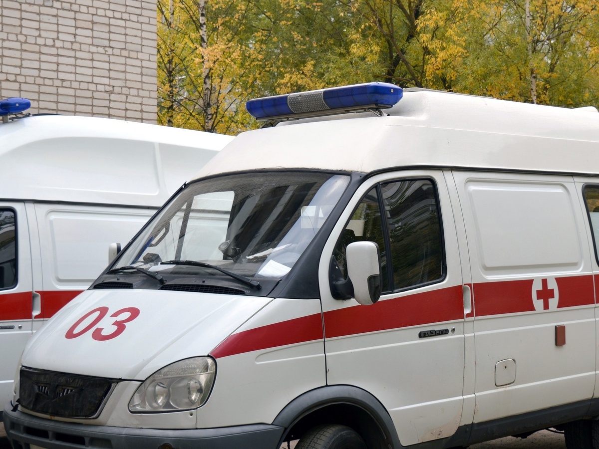 «Газель» вылетела в кювет в Шахунском районе: один человек погиб и один пострадал