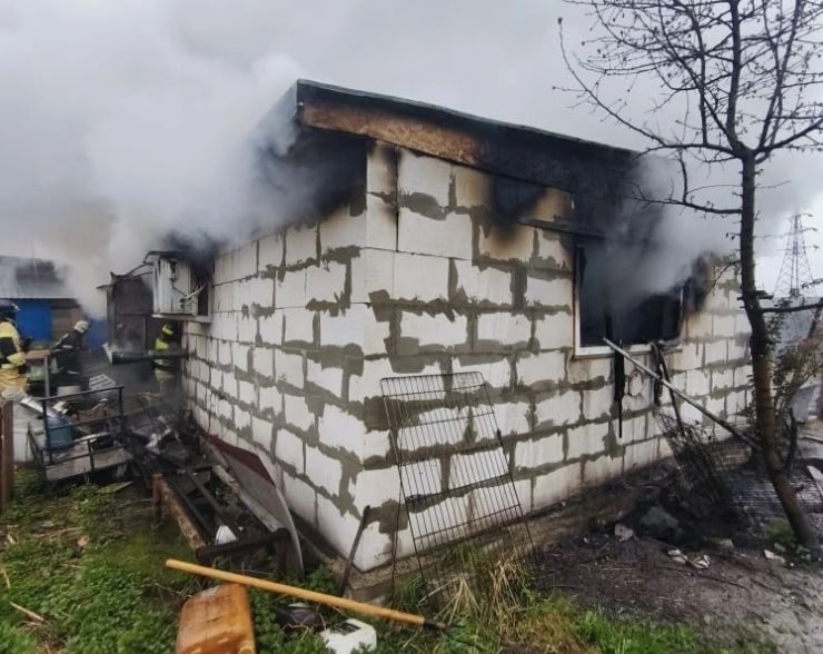 Раскрыта причина пожара в Нижнем Новгороде, на котором погибли 200 собак - фото 1