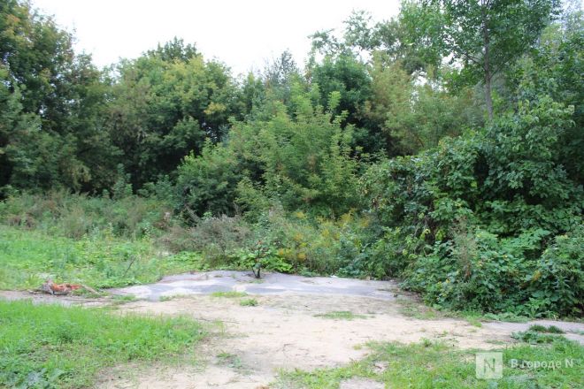 Нижегородцам показали, где будет построен правительственный квартал - фото 7