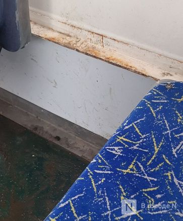 Со скрипом, зато быстро: тестируем самые популярные трамваи Нижнего Новгорода  - фото 17