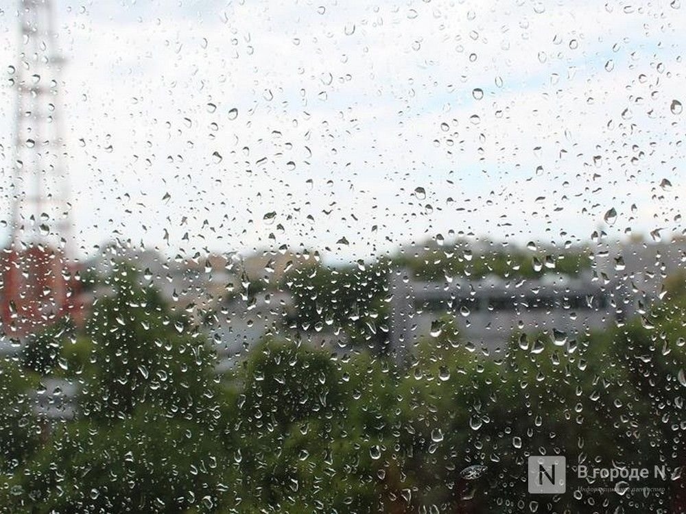 Тепло до +21&deg;С, дожди и грозы придут в Нижний Новгород - фото 1