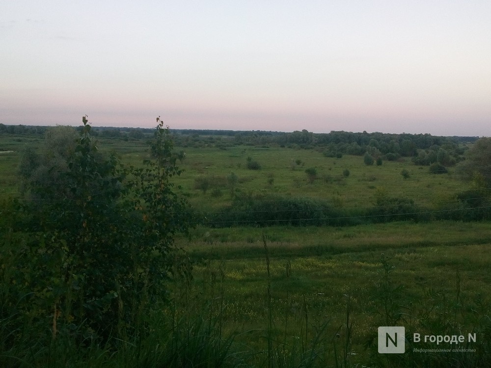 Национальный парк могут создать в Артемовских лугах под Нижним Новгородом - фото 1