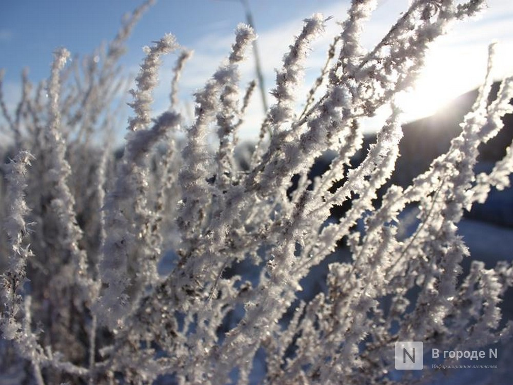 Четыре дня снега с дождем ждут нижегородцев: рассказываем, когда - фото 1