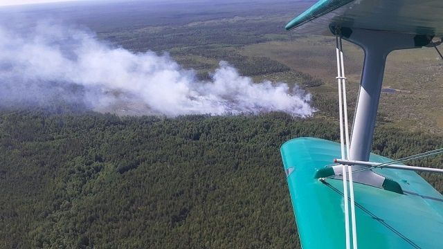 Пожар в Керженском заповеднике полностью потушен - фото 1