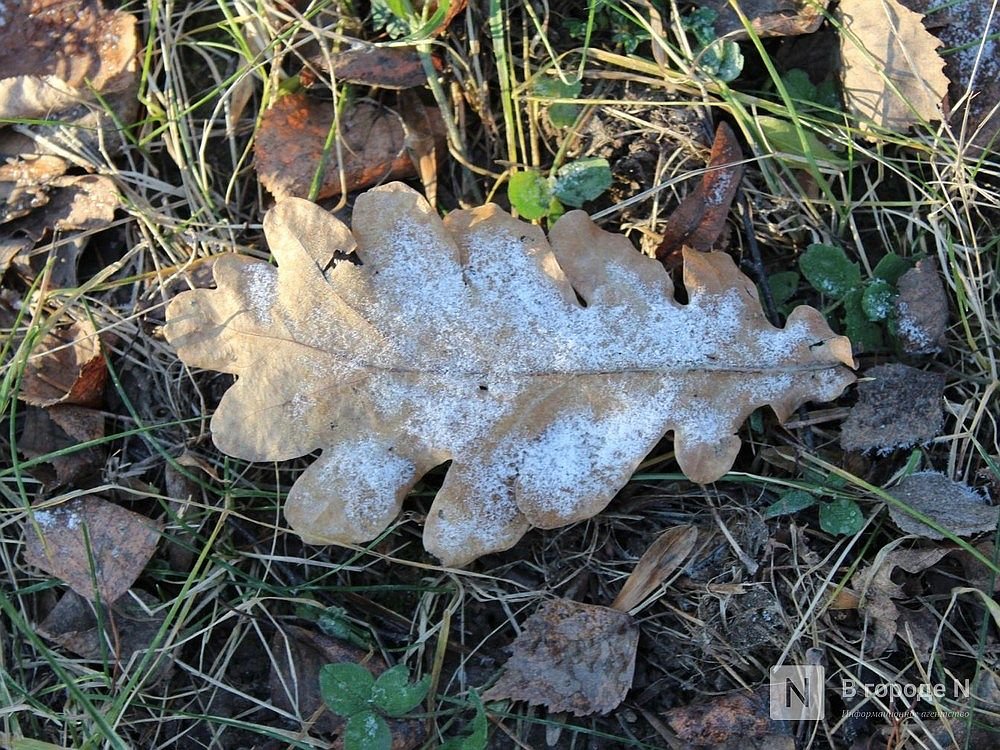 Заморозки до -8&deg;С и снег принесет нижегородцам наступившая неделя - фото 1