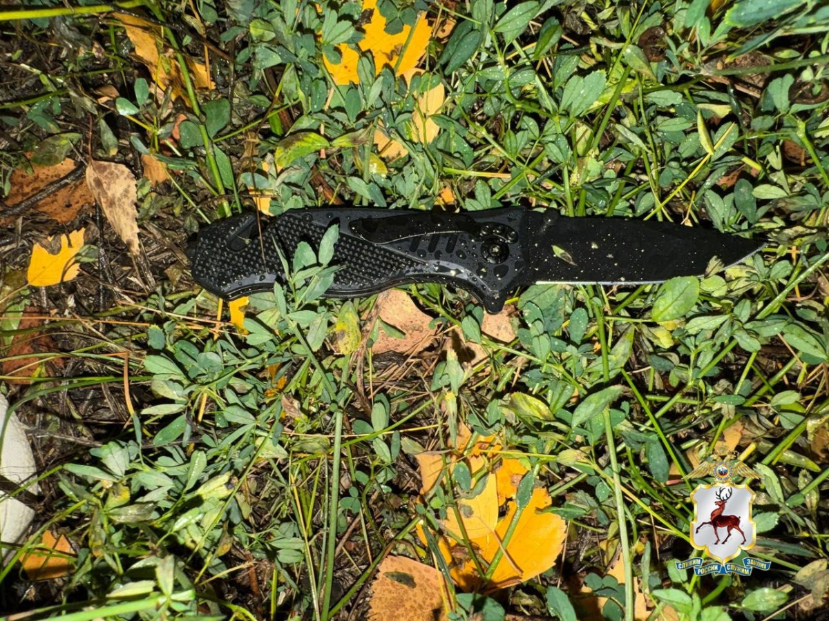 Женщину зарезали в подъезде дома в Сормовском районе - фото 1