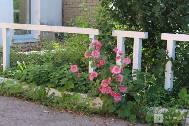 Старинные дома и современное искусство: как выглядит и чем привлекает Грузинский квартал в Нижнем Новгороде - фото 59