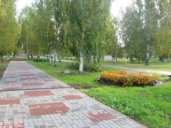 Центральный парк в Тонкине благоустроили за 3,1 млн рублей - фото 6