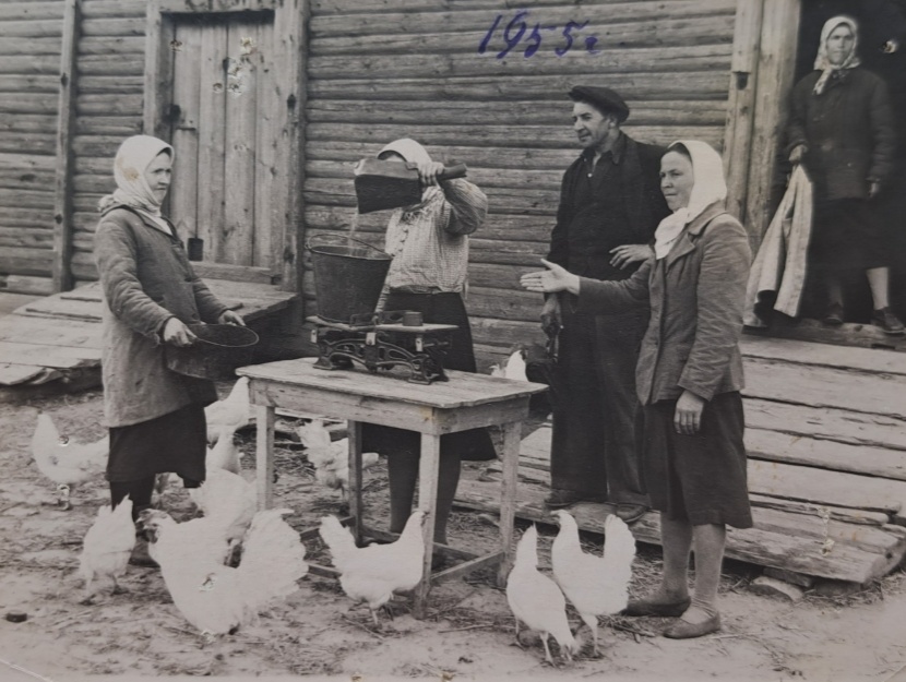 Павлово в Нижегородской области: история и архивные фото родины &laquo;ПАЗиков&raquo; - фото 15