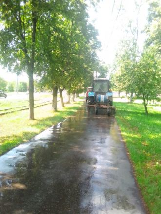 Полив дорог и растений усилили в Нижнем Новгороде из-за жары - фото 3
