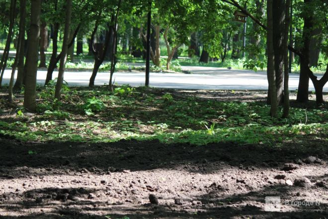 Разрытые газоны и сломанные скамейки: как выглядит парк Кулибина после благоустройства - фото 40