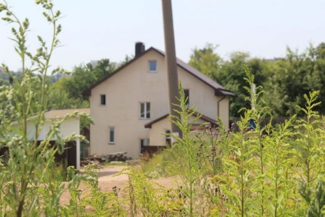 Опубликованы фото оврагов заброшенных участков СНТ в Нижнем Новгороде - фото 4